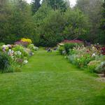 Thuya Garden