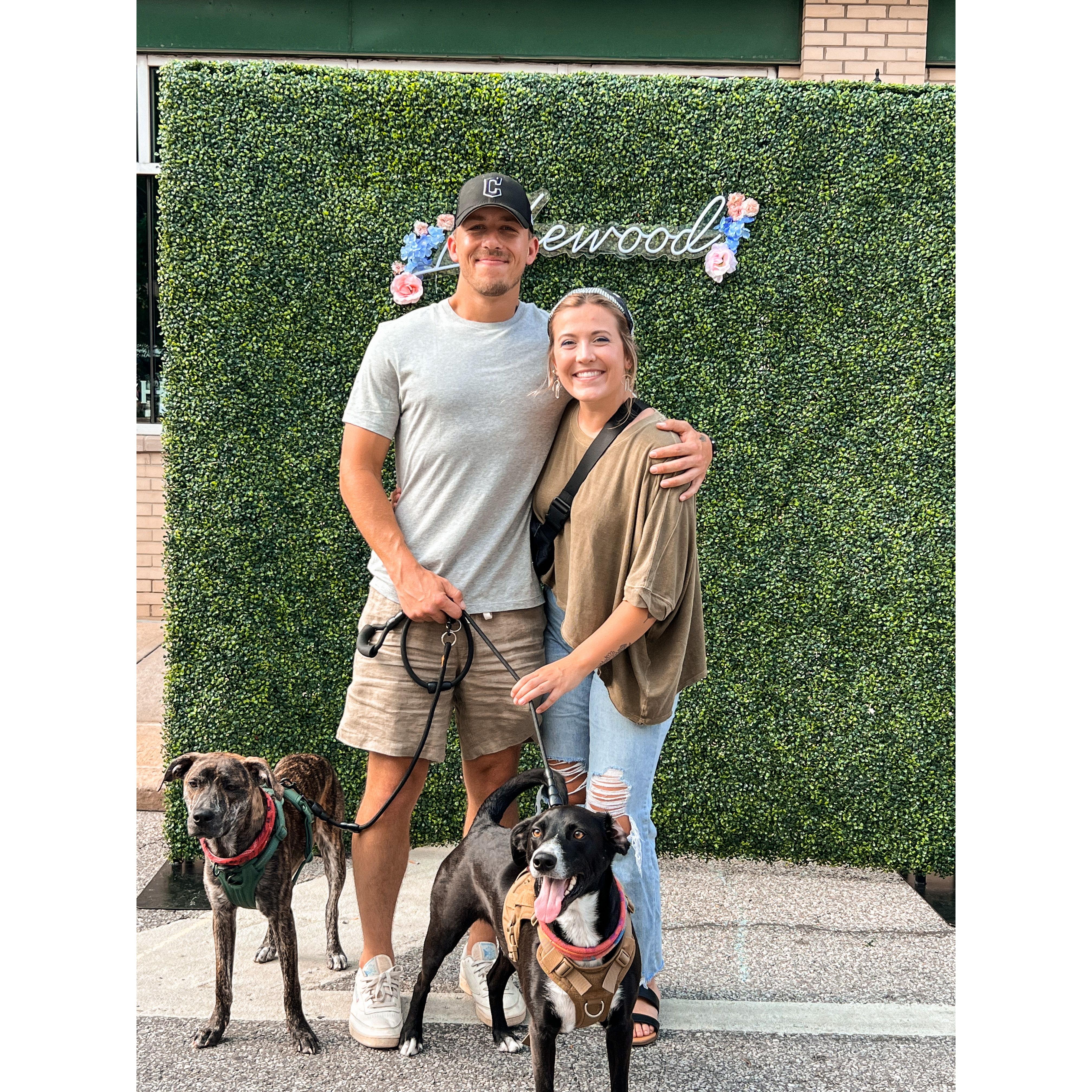 Lakewood art walk with the dogs