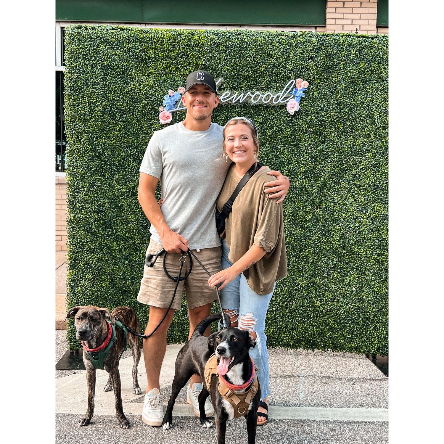 Lakewood art walk with the dogs