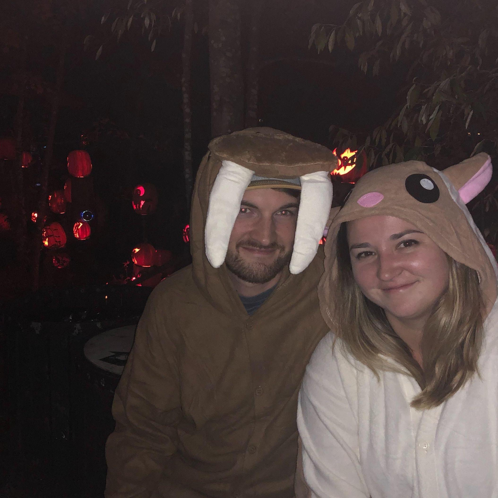 Just a walrus and a flying squirrel in love