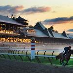 Saratoga Racetrack