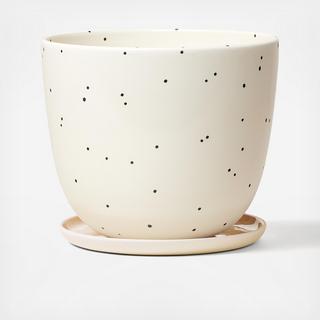 Dot Planter with Saucer