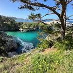 Point Lobos State Natural Reserve