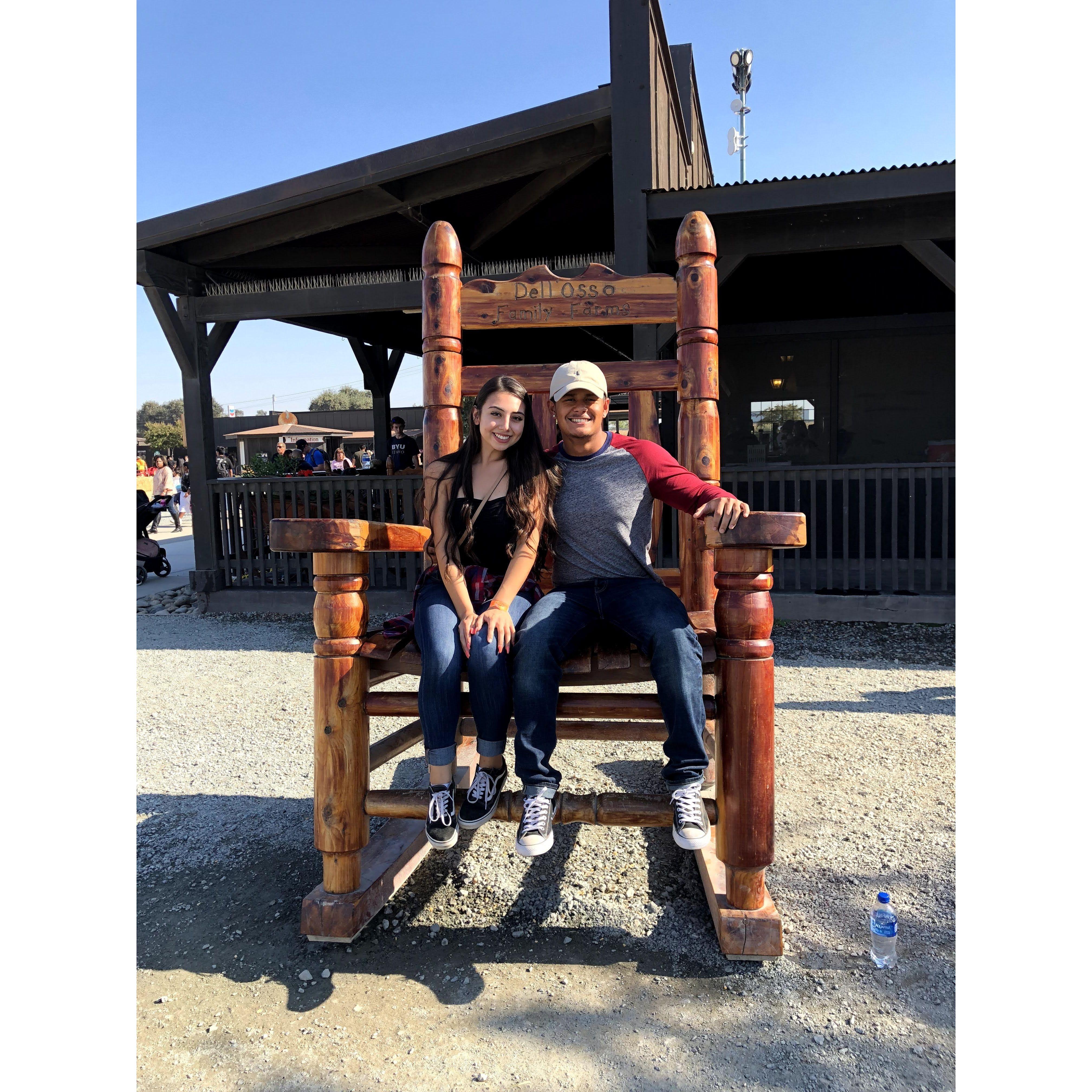 Dell'Osso Farms 2018🌻