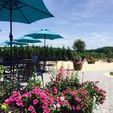 Fox Hollow Vineyards