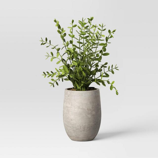 14" Privet Artificial Plant - Threshold™ designed with Studio McGee