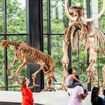 Burke Museum of Natural History and Culture