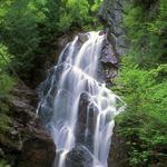 Angel Falls Trail