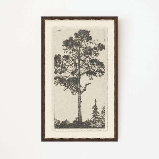 Tree Tops 1