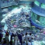 National Aquarium