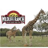 Natural Bridge Wildlife Ranch