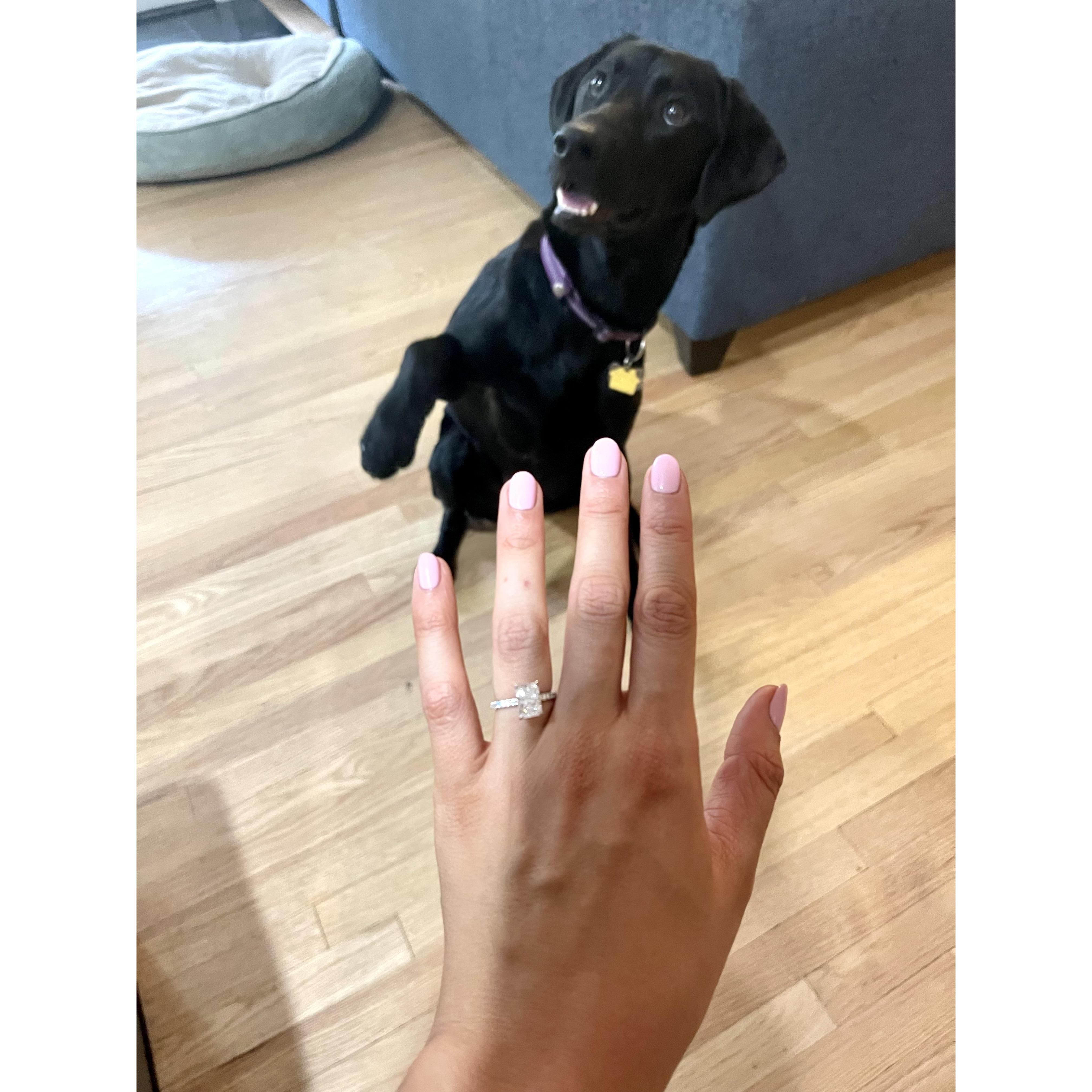 Lilly says "what about my ring?!"