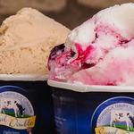 Morwick Dairy Ice Cream