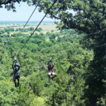 Zip Lost Pines