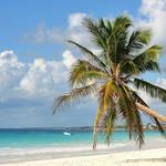 Paradise Beach