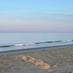 Cape Henlopen State Park