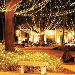 Nights of Lights-St. Augustine