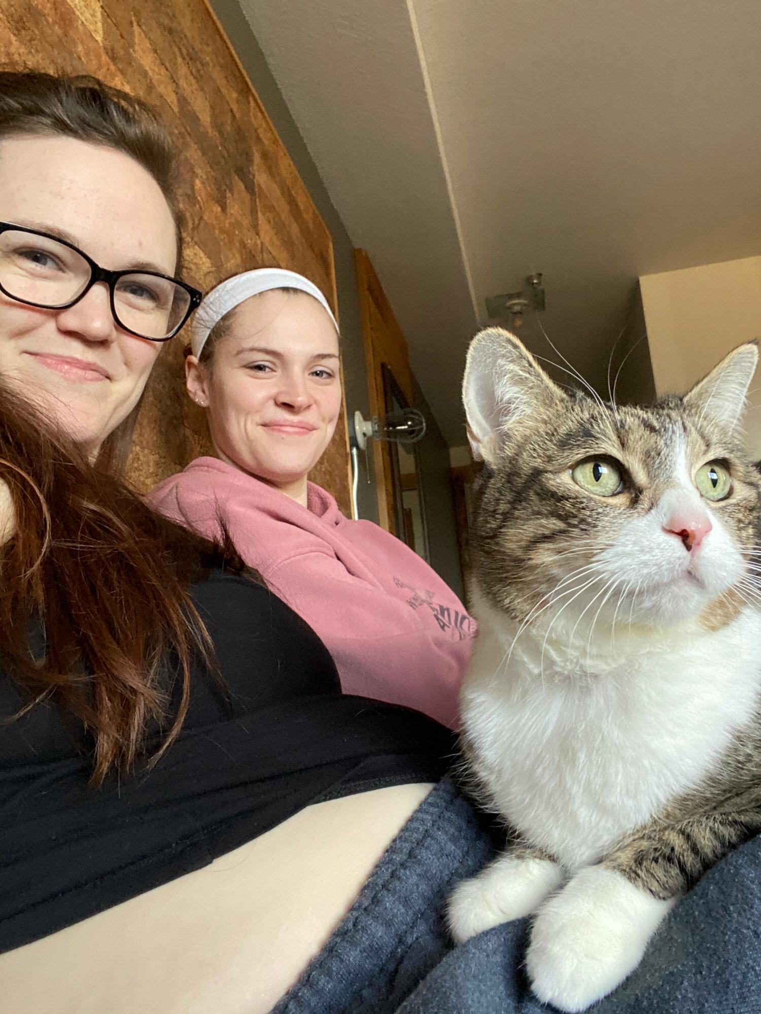 One of our runaway trips to Long Beach, WA ft. our kitty cat.