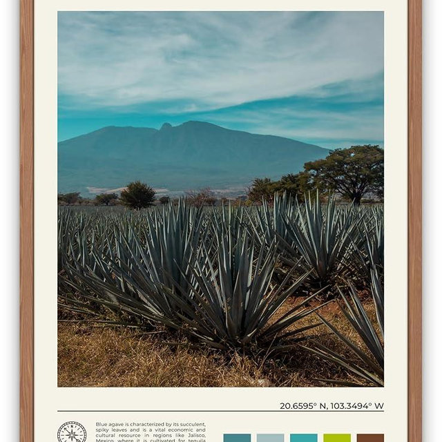 StudioUBILA Jalisco Wall Art Poster, Decorative Cityscape Landscape Art Prints, Home Decor Wall Art Print for Bedroom Living Room Kitchen Decorations, Unframed