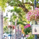 3rd Street South