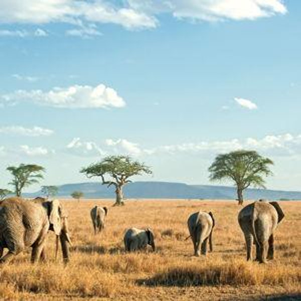 Honeymoon Adventure Fund