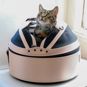 Sleepypod Mobile Pet Bed