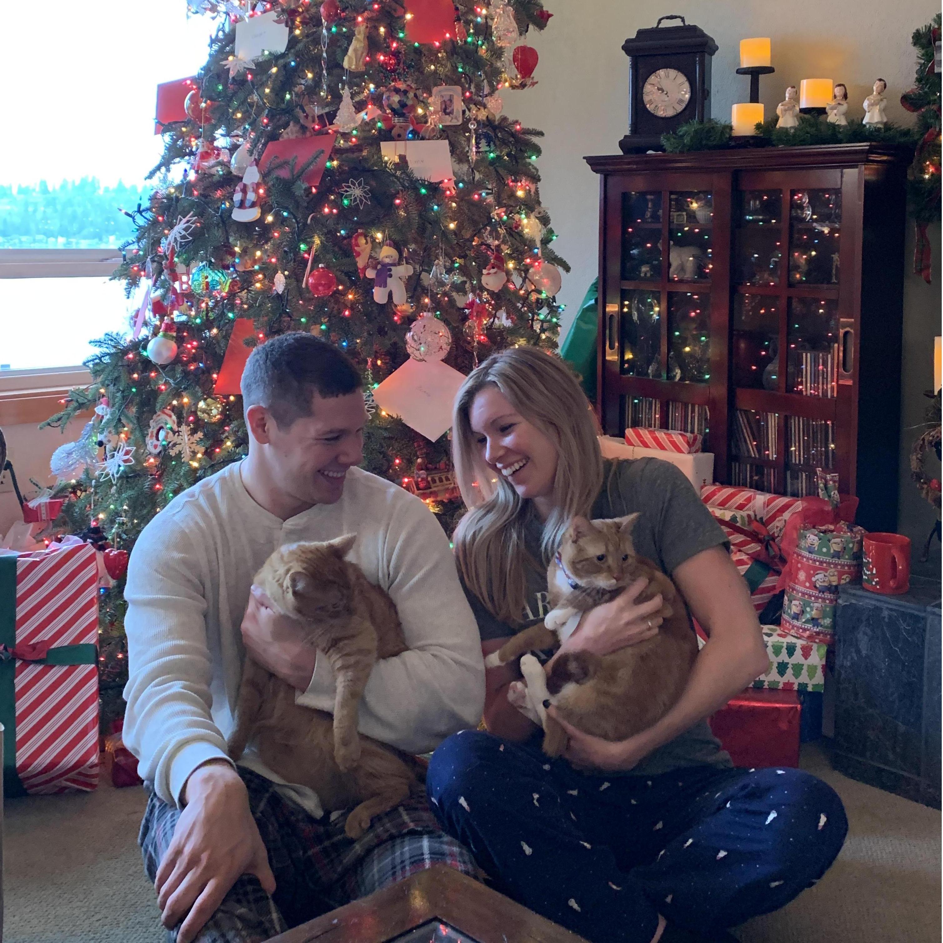 Christmas with our fur babies - Toby & Chester