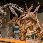 Denver Museum of Nature & Science