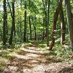 Berkshire Valley State Wildlife Management Area