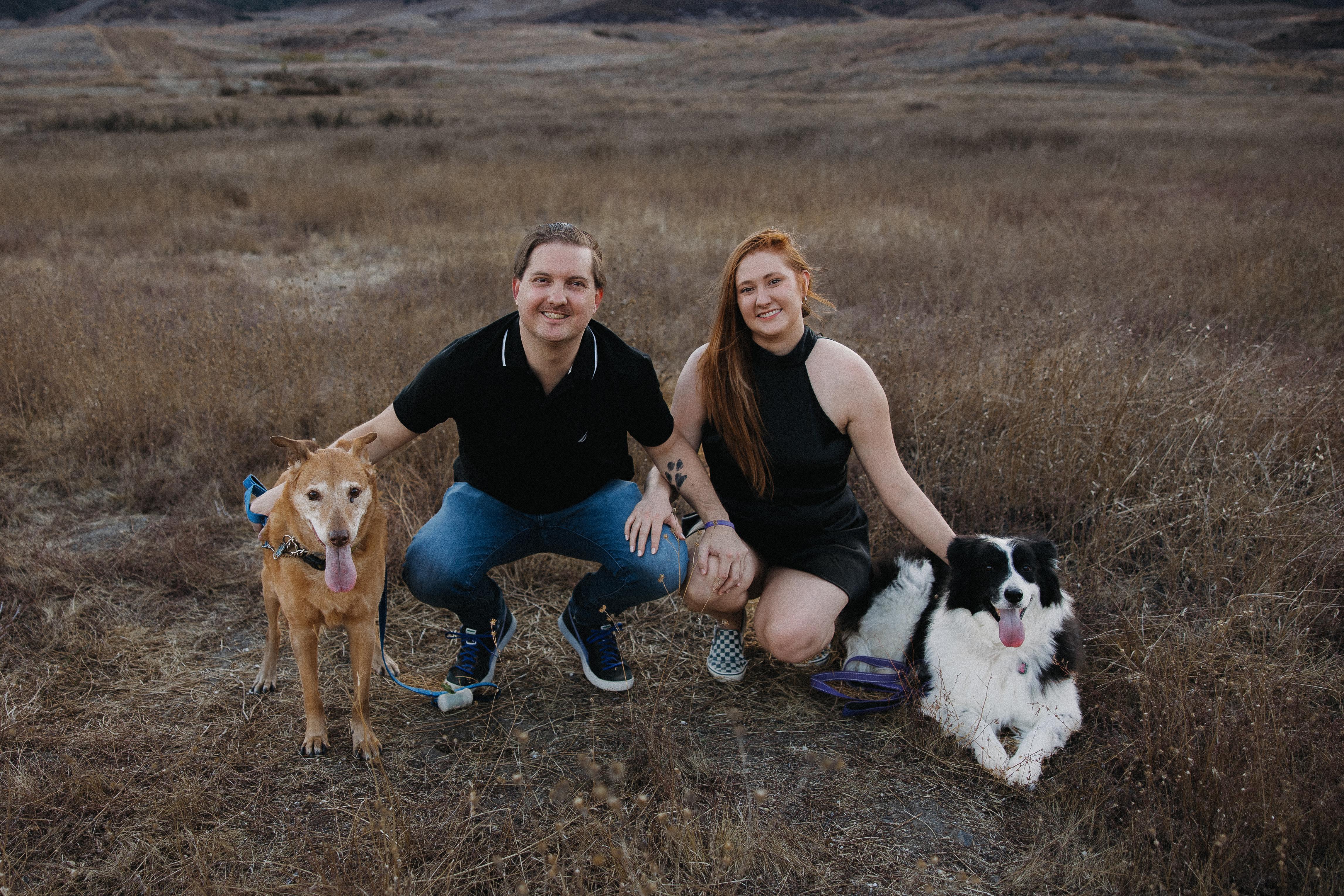 1dc334ed-3166-49c4-ab97-a57462ab446e