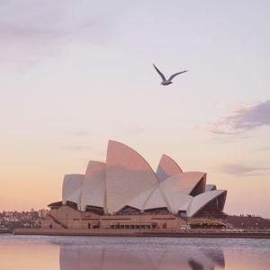 Sydney Opera House and Lunch