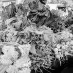 The Statesboro Mainstreet Farmers Market