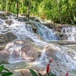 The World Famous Dunn's River Falls & Park