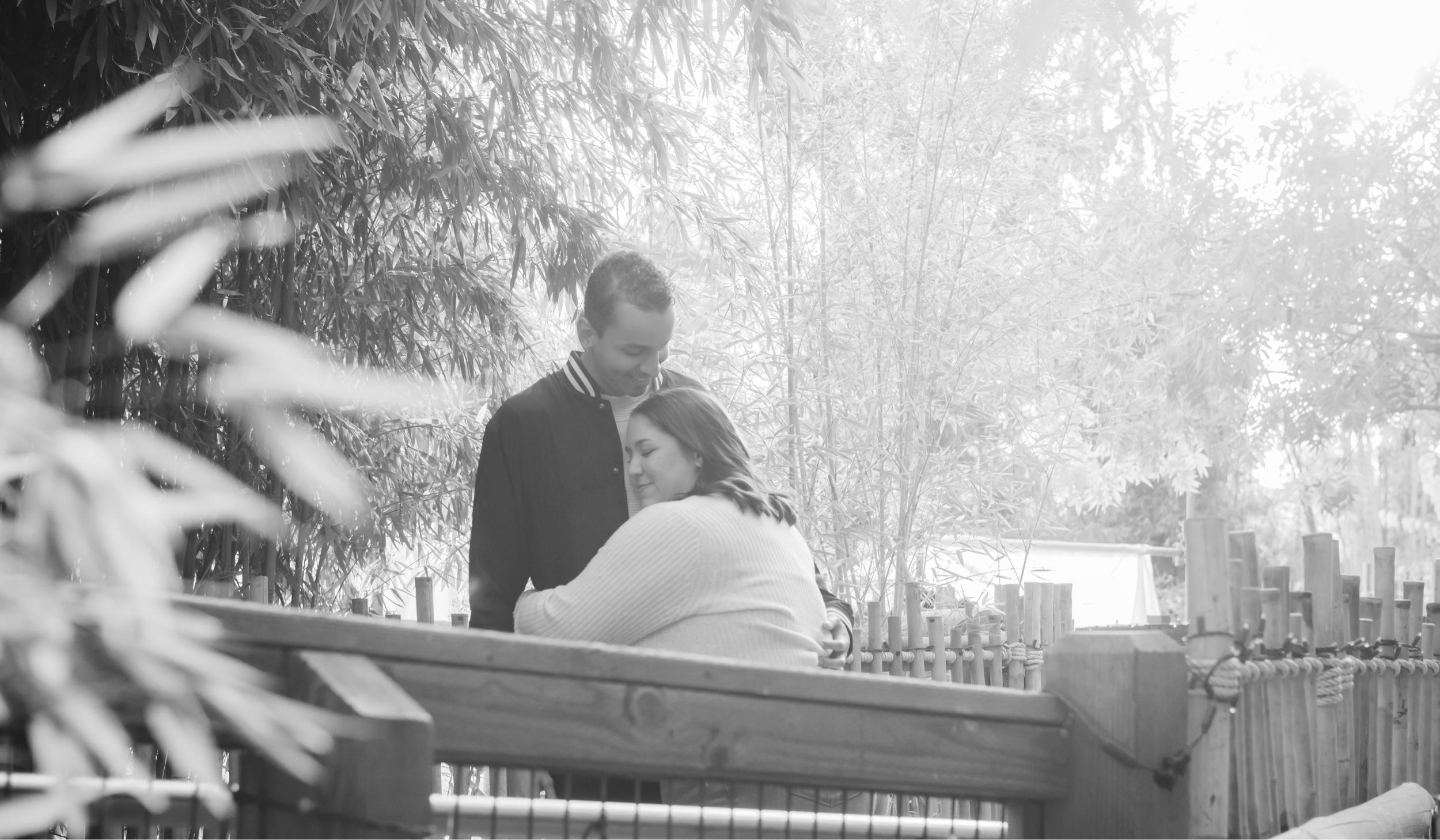 Hero Slideshow Image 3