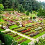 International Rose Test Garden