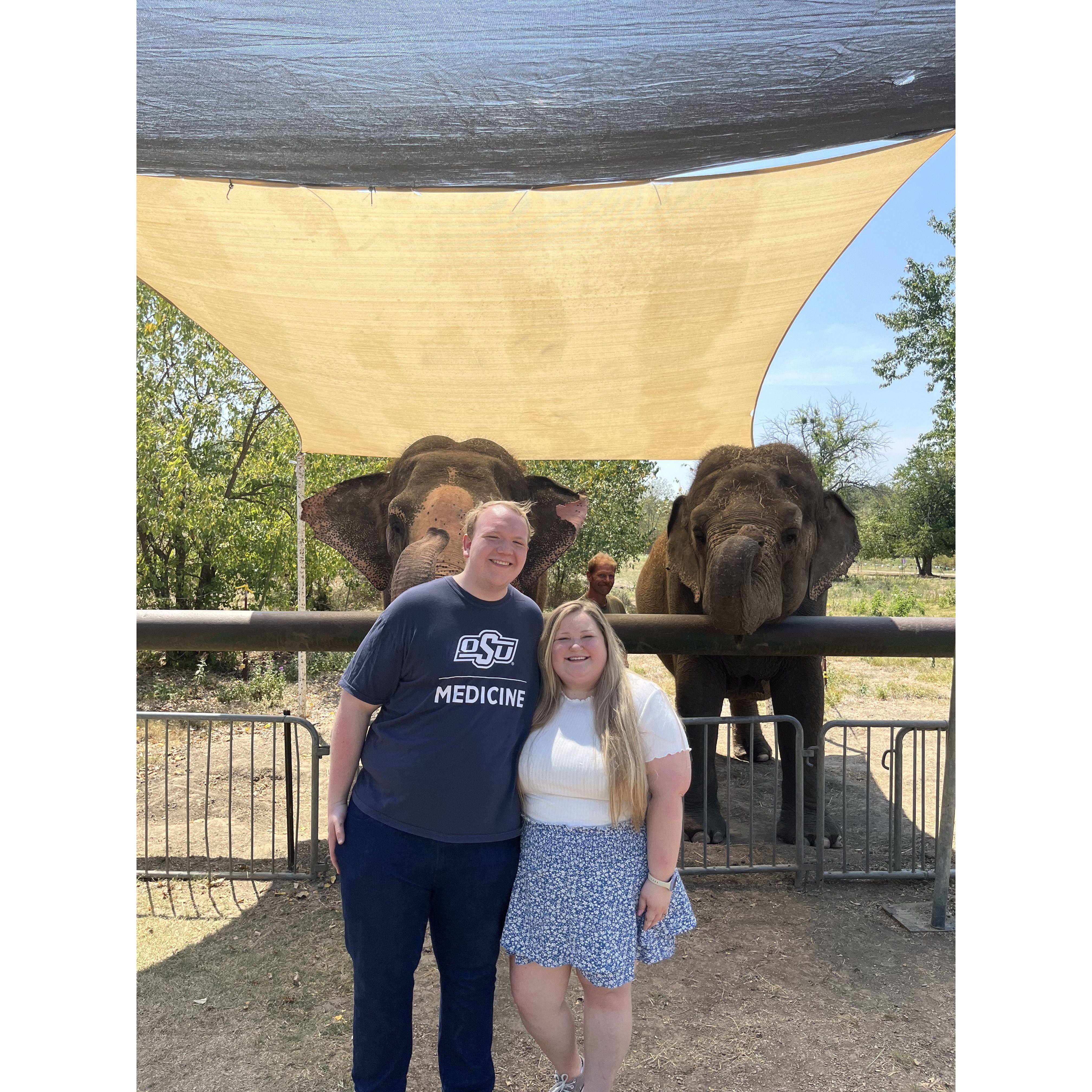 Elephant adventures in Hugo,OK