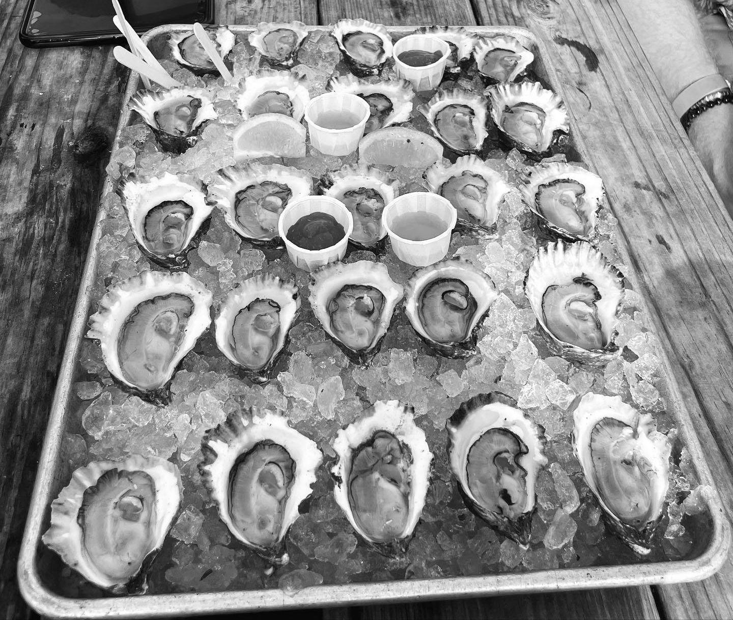 The Wedding Website of Sydney Hawekotte and Michael Soucey