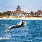 Tarpon Fishing