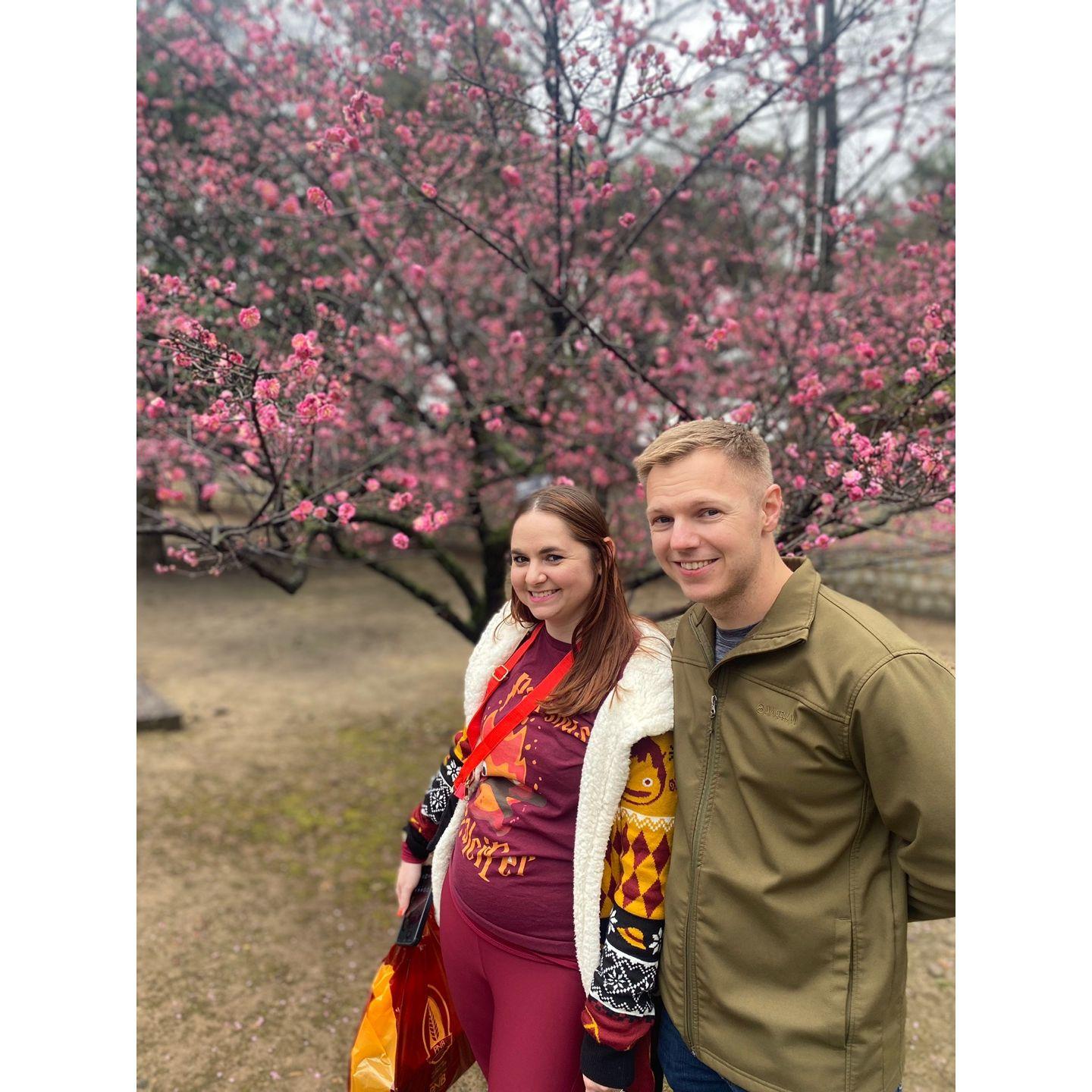 By the cherry blossoms in South Korea!