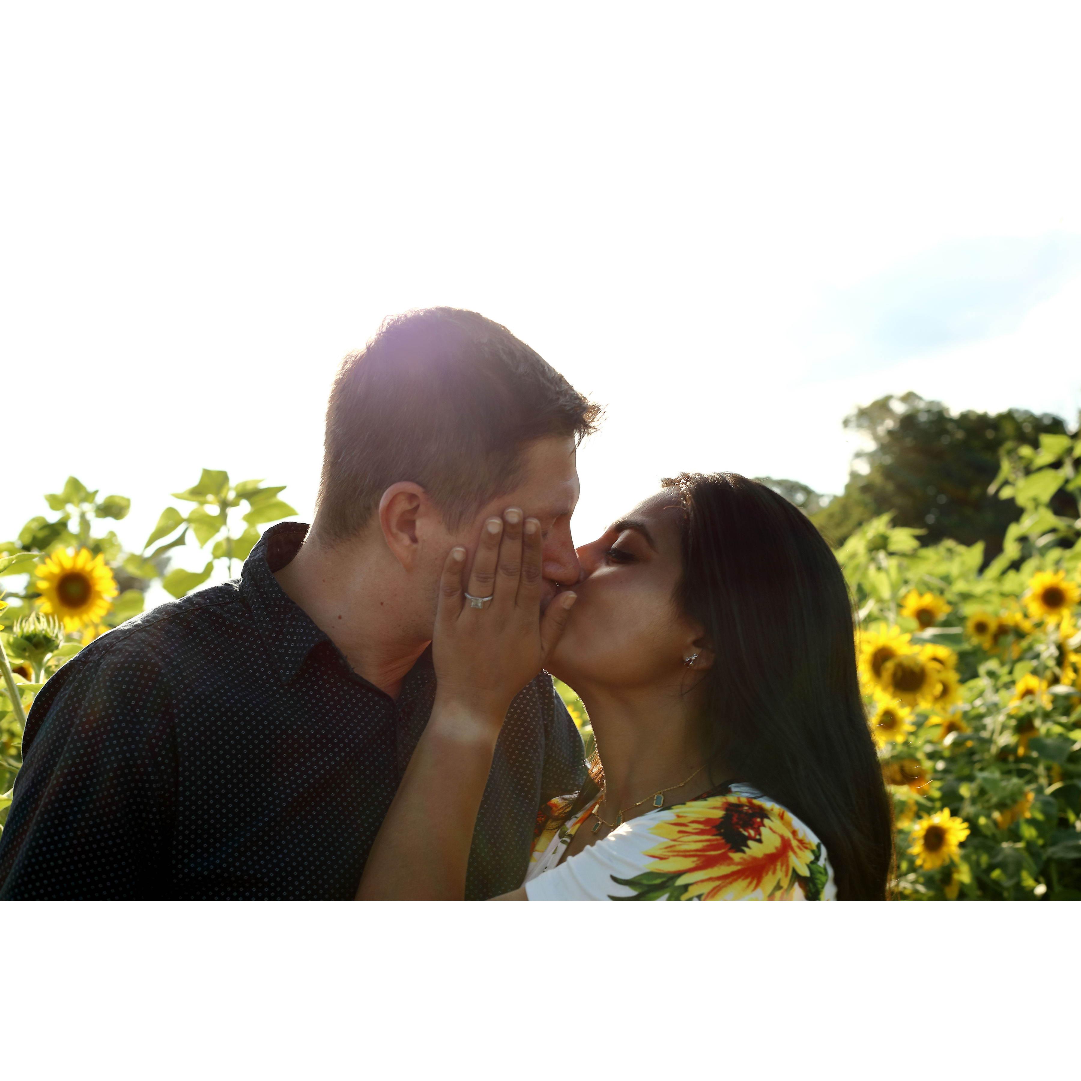 Sunflowers and Tan lines