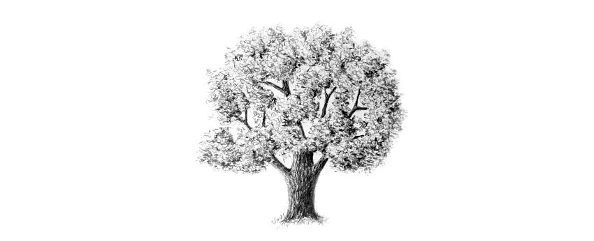 The Wedding Website of James Ethan Clark and Olivia Ruth Arokiasamy