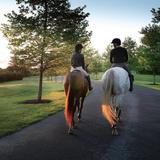 Salamander Resort & Spa