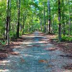 Tillie K. Fowler Regional Park