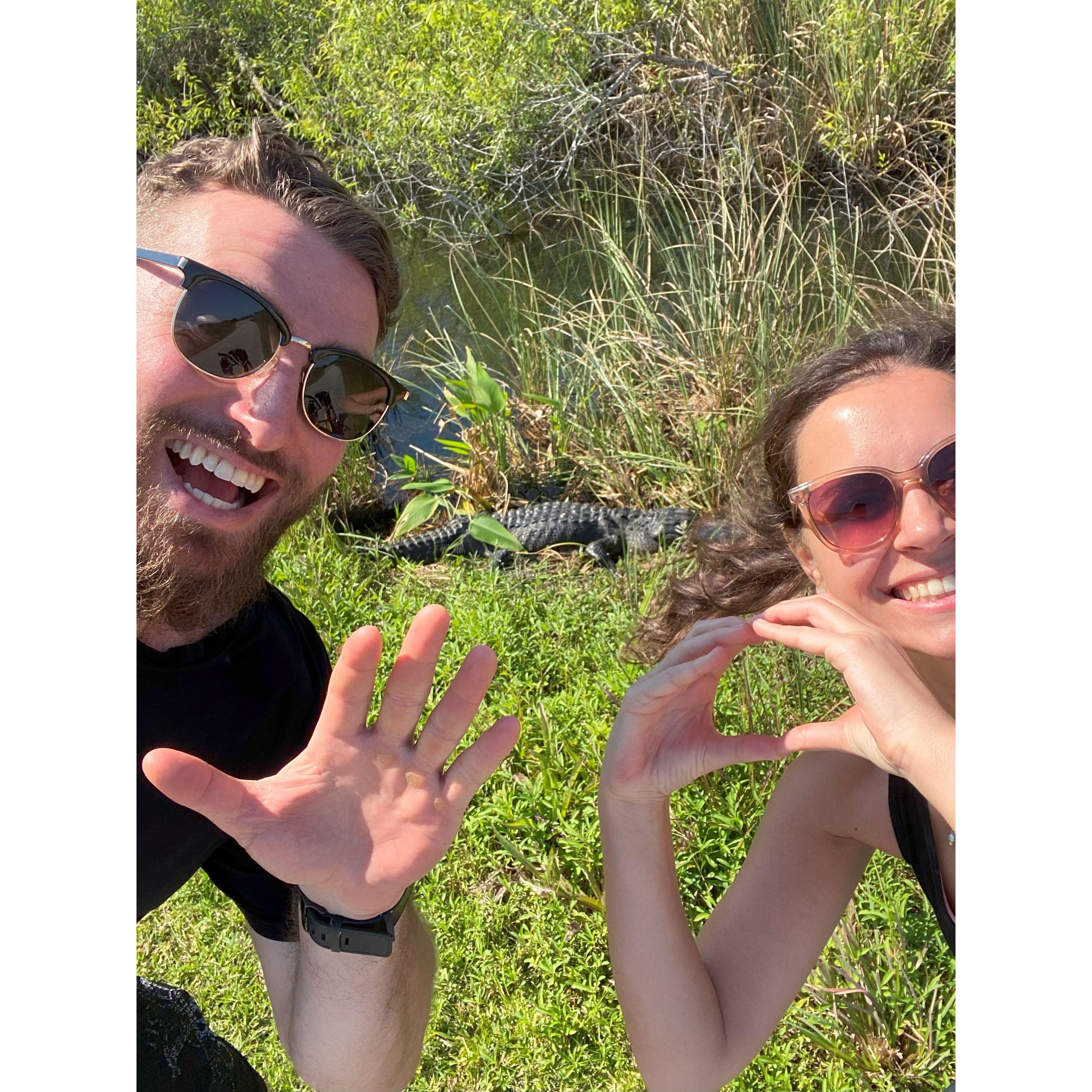 This was our 50th alligator of the day on our trip to the Everglades. This is when Jay stopped counting, but Anna went on to count a total of 102 alligators and 1 (huge) crocodile.