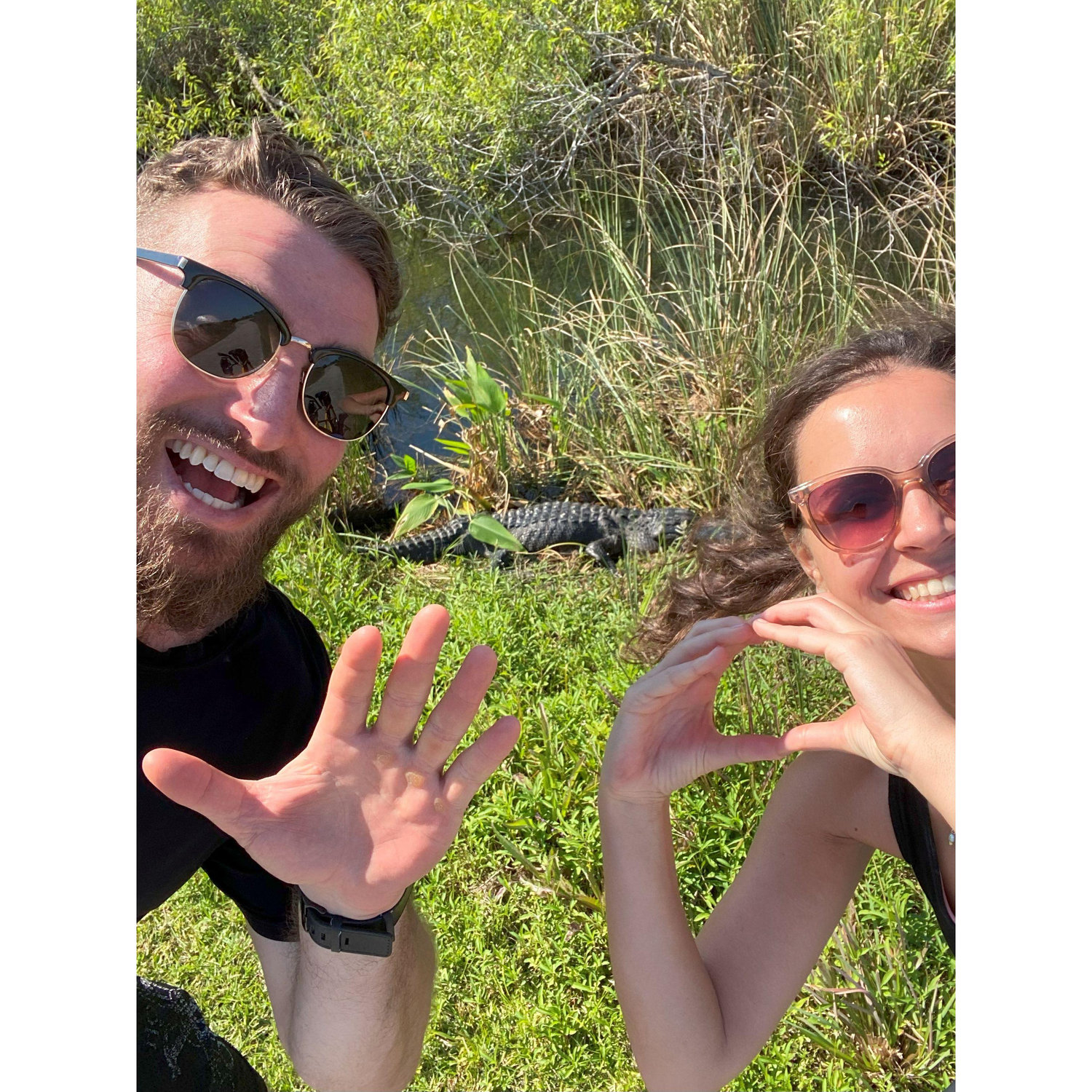 This was our 50th alligator of the day on our trip to the Everglades. This is when Jay stopped counting, but Anna went on to count a total of 102 alligators and 1 (huge) crocodile.
