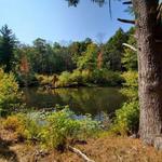 Bradley Palmer State Park