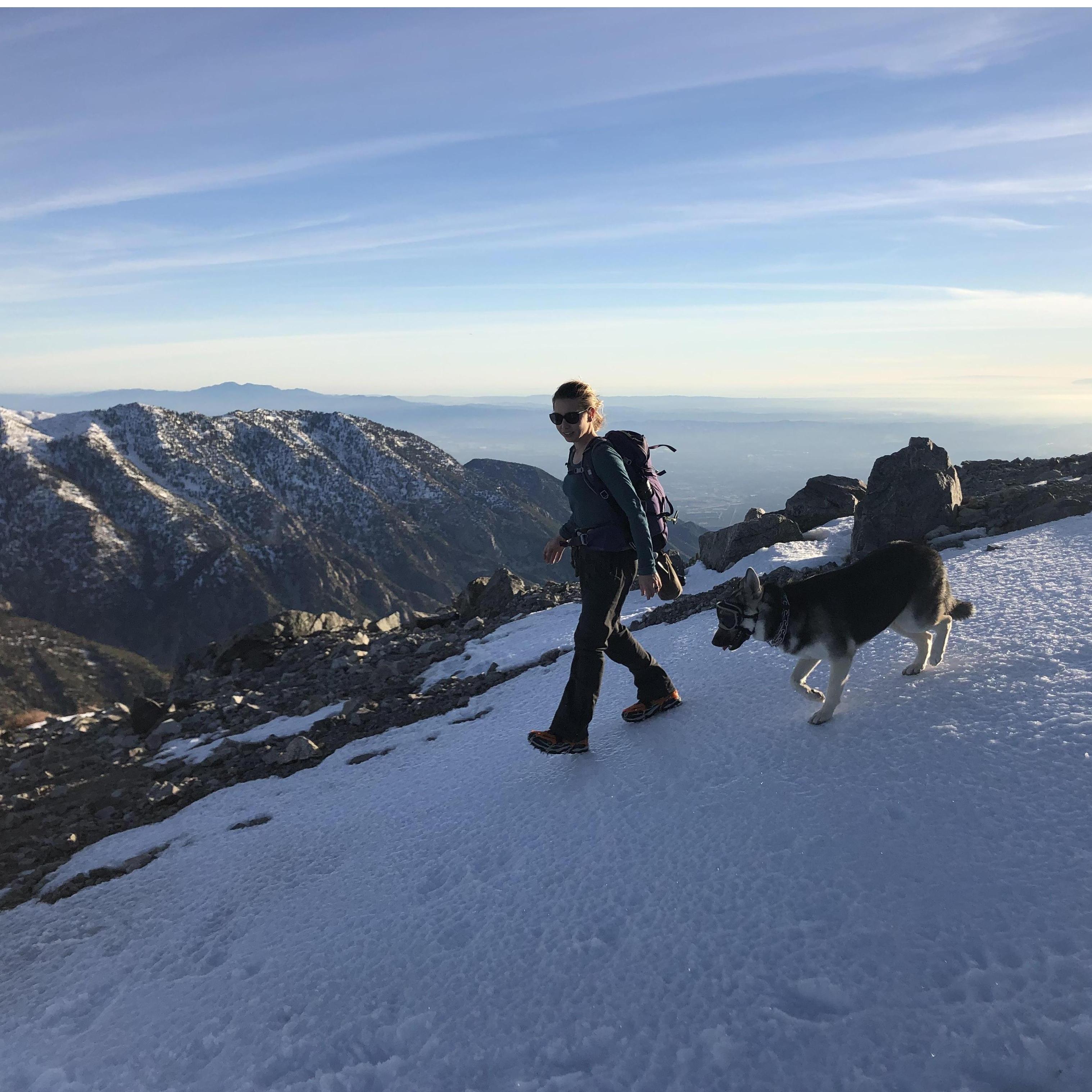 Dog and Misty adventuring on Mt. Baldy