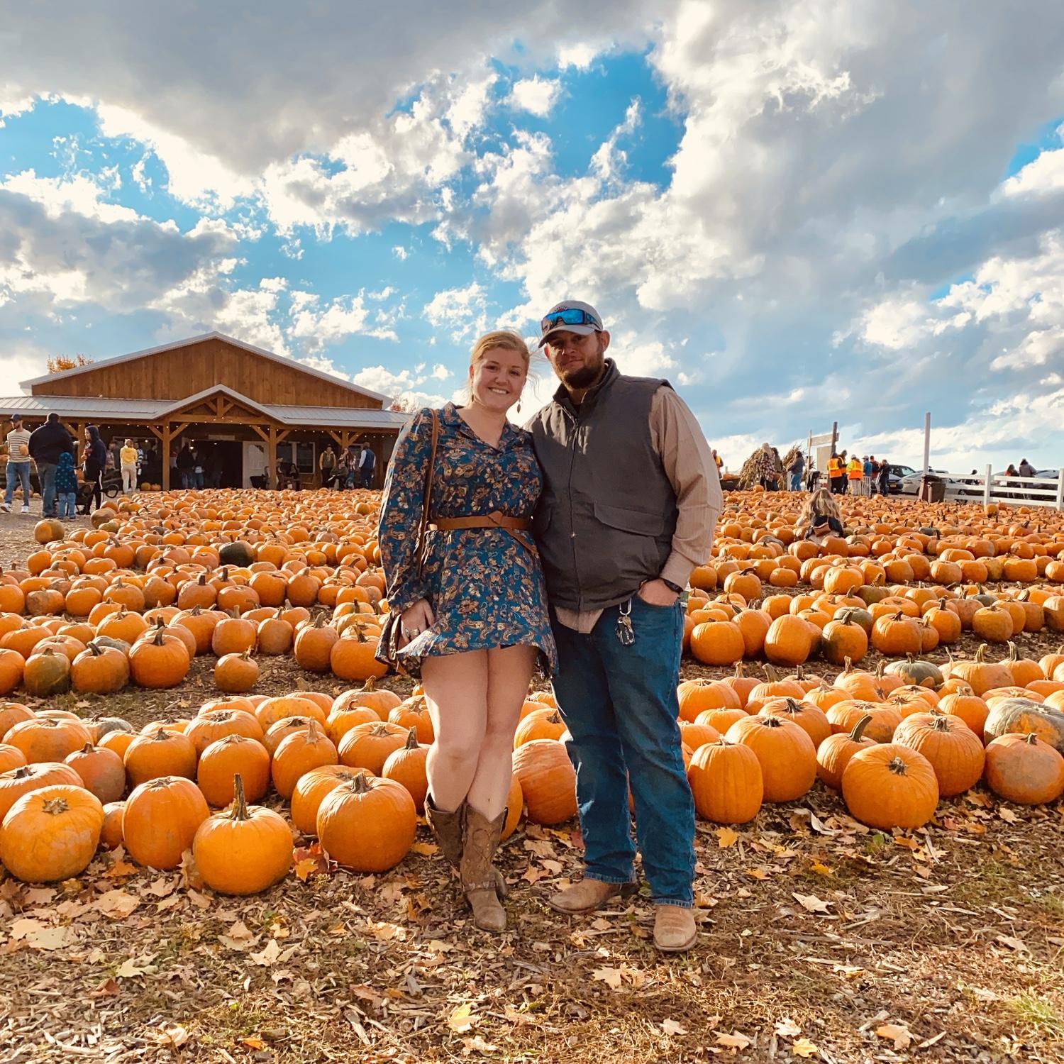 Tim’s Pumpkin Patch 🧡