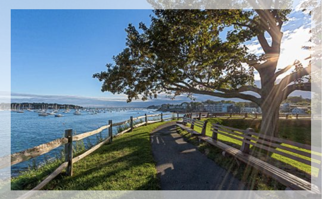 The Wedding Website of Sarah Cuffe and Gabe Broderick