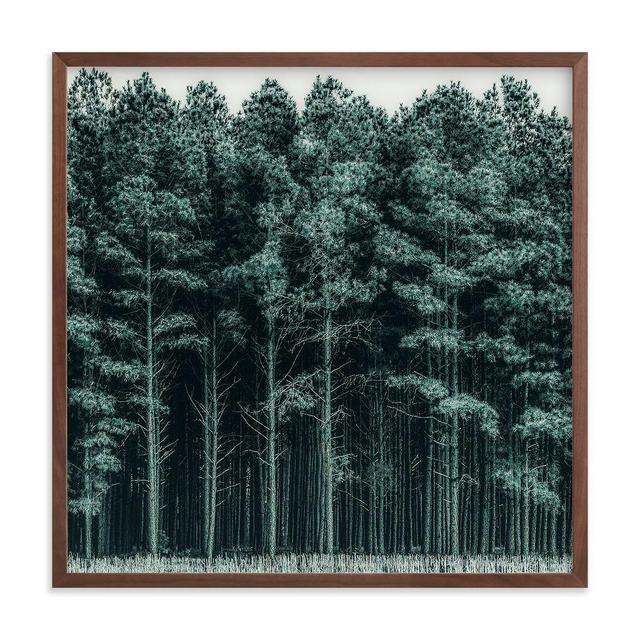 Through the Trees, Walnut Wood Frame, 24"x24"